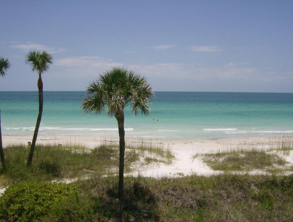 Club Bamboo South - Bradenton Beach Exteriör bild